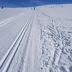 Mountain At Haglebu With Activities * Eggedal