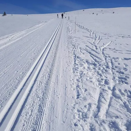 Mountain At Haglebu With Activities * Eggedal