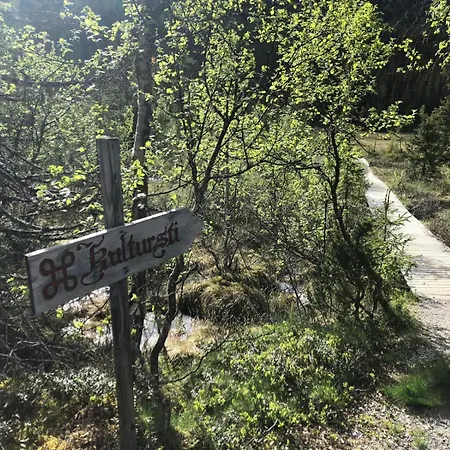 Mountain At Haglebu With Activities Prázdninový dům Eggedal