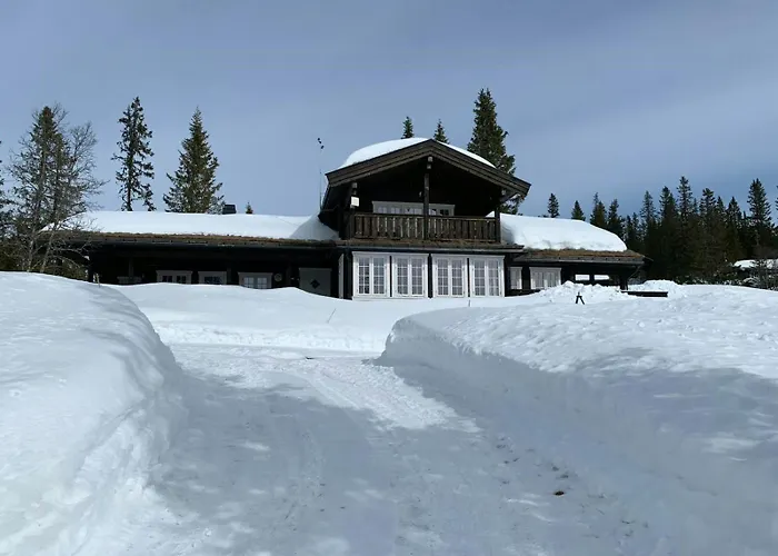 Semesterbostad Mountain At Haglebu With Activities