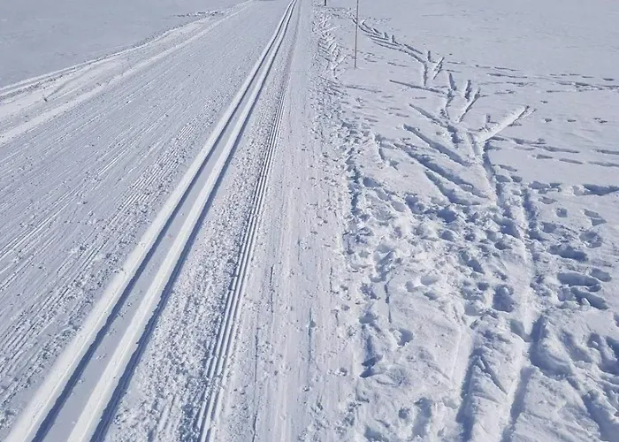 Mountain At Haglebu With Activities * Eggedal