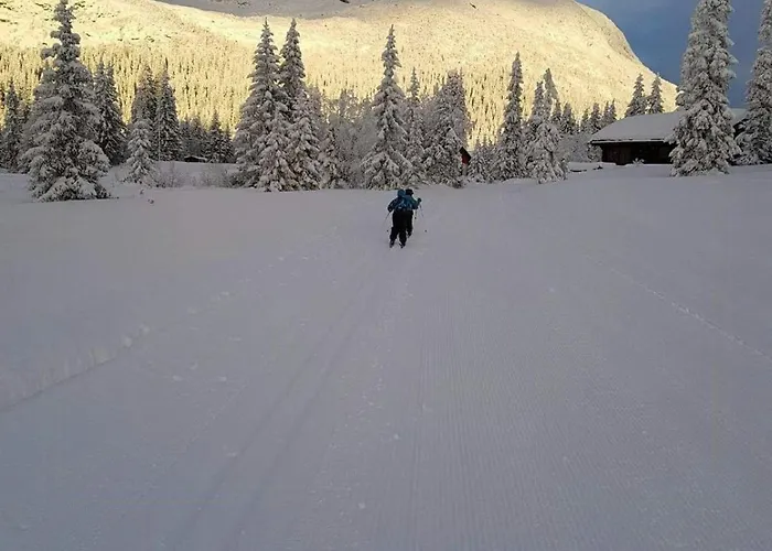 Semesterbostad Mountain At Haglebu With Activities *