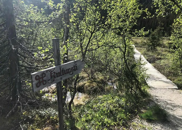 Mountain At Haglebu With Activities Ferienhaus Eggedal